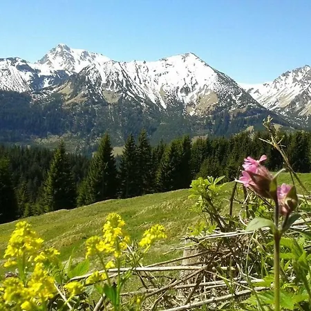 Panorama