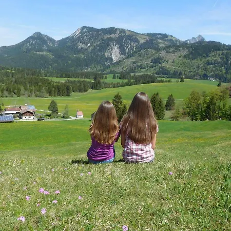 Panorama *