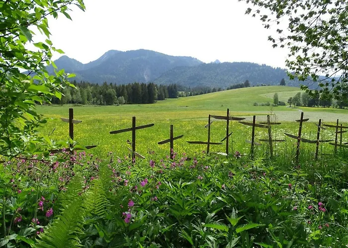 公寓 Panorama