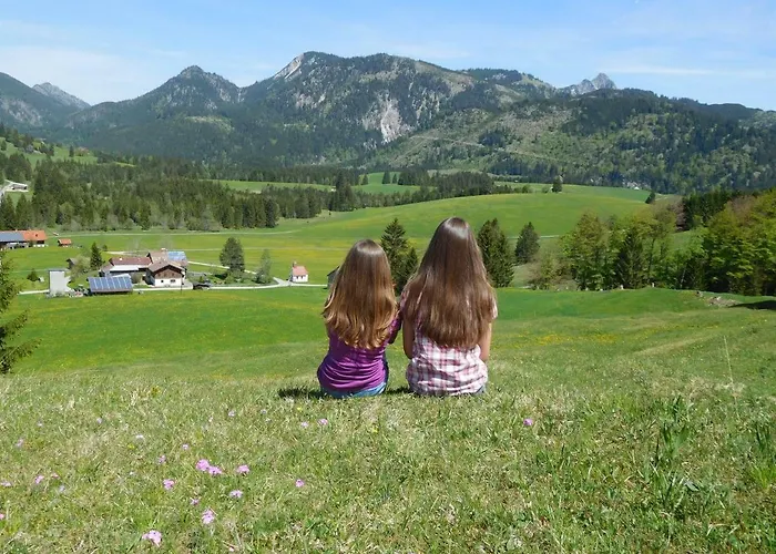 Panorama *